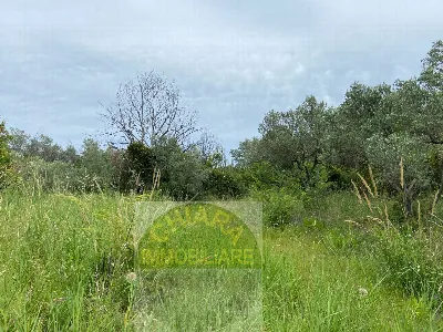 Rustico/Casale in vendita a Cupello - foto 10