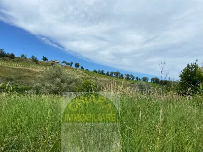 Rustico/Casale in vendita a Cupello - foto 4