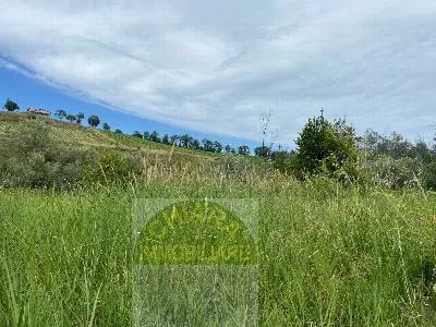 Rustico/Casale in vendita a Cupello - foto 6