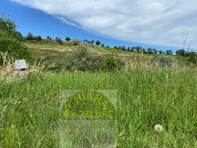 Rustico/Casale in vendita a Cupello - foto 9