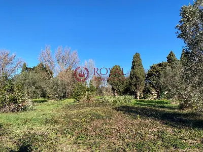 Rustico/Casale in vendita a Rosignano Mari... - foto 4