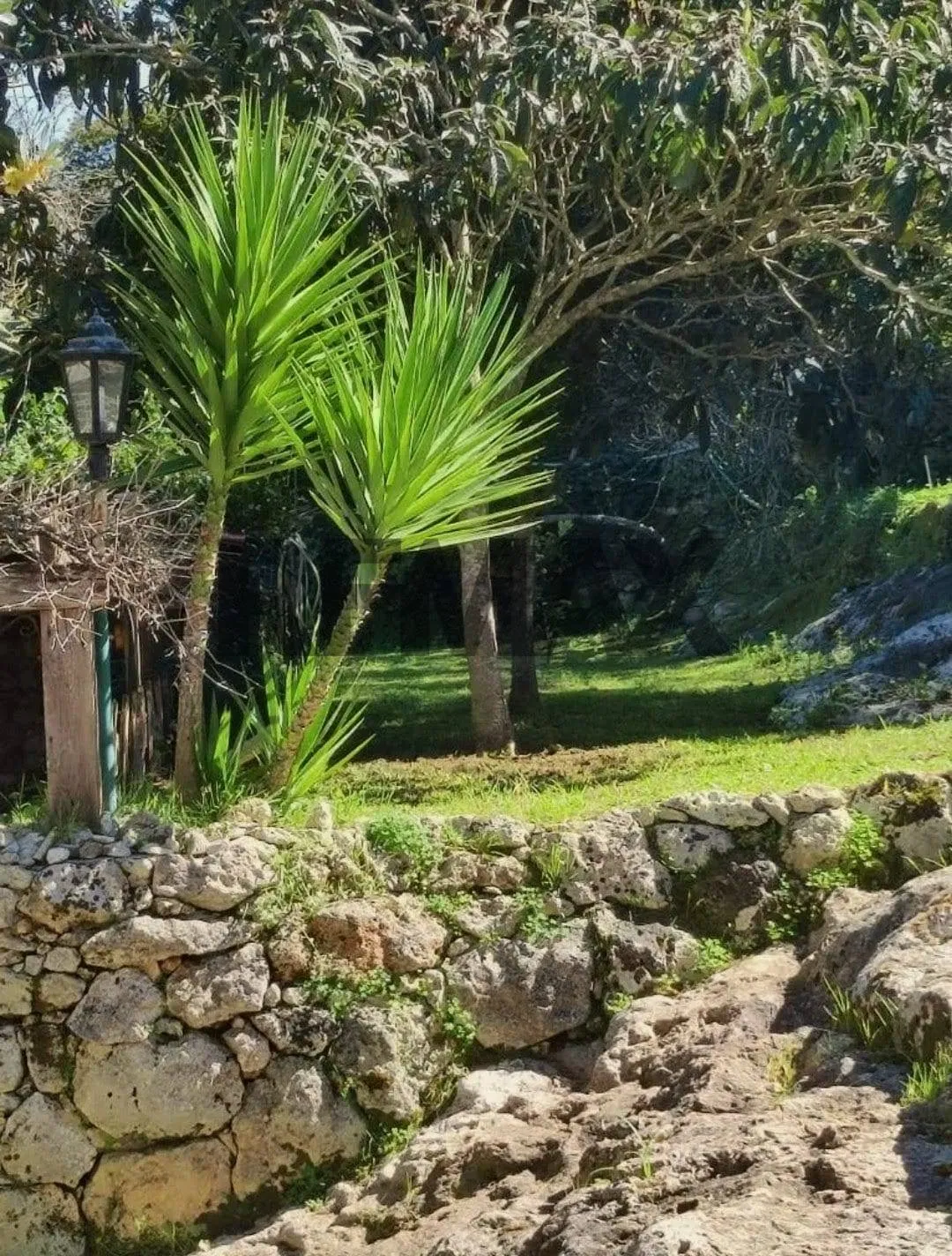 Rustico/Casale in vendita a Sassari, Monte Bianchino, Filigheddu - foto 2