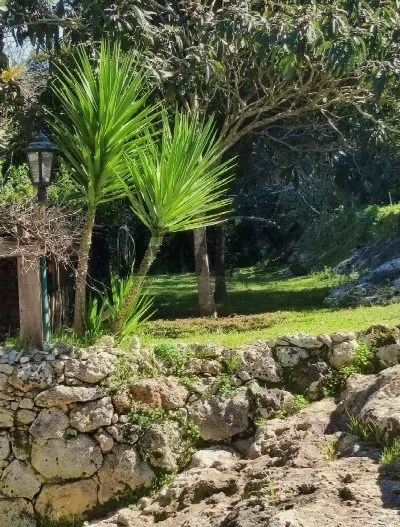 Rustico/Casale in vendita a Sassari, Monte... - foto 2