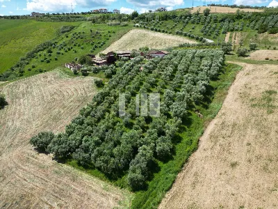 Villa in vendita a Roseto degli Abruzzi - foto 8