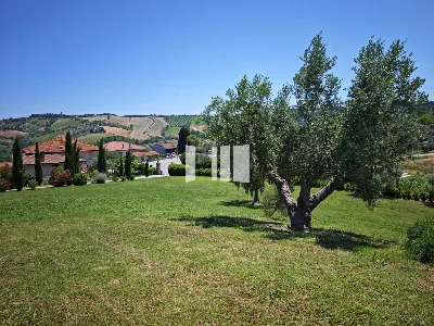 Villa in vendita a Notaresco - foto 9