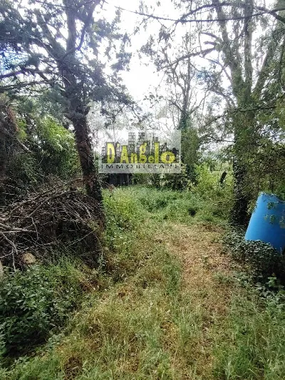 Rustico/Casale in vendita a Petritoli - foto 10