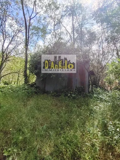 Rustico/Casale in vendita a Petritoli - foto 4