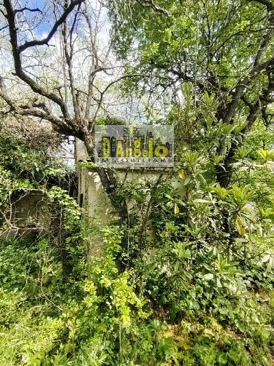 Rustico/Casale in vendita a Petritoli - foto 5