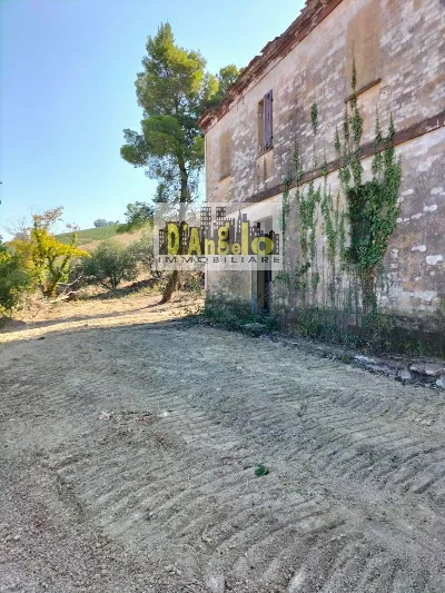 Rustico/Casale in vendita a Montefiore del... - foto 6