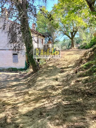 Rustico/Casale in vendita a Montefiore del... - foto 8