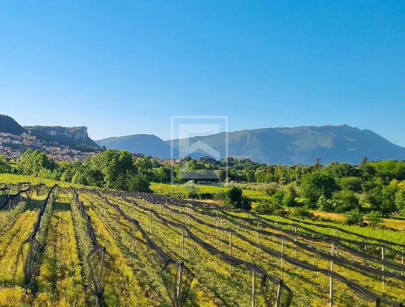 Rustico/Casale in vendita a Cavaion Veronese - foto 1