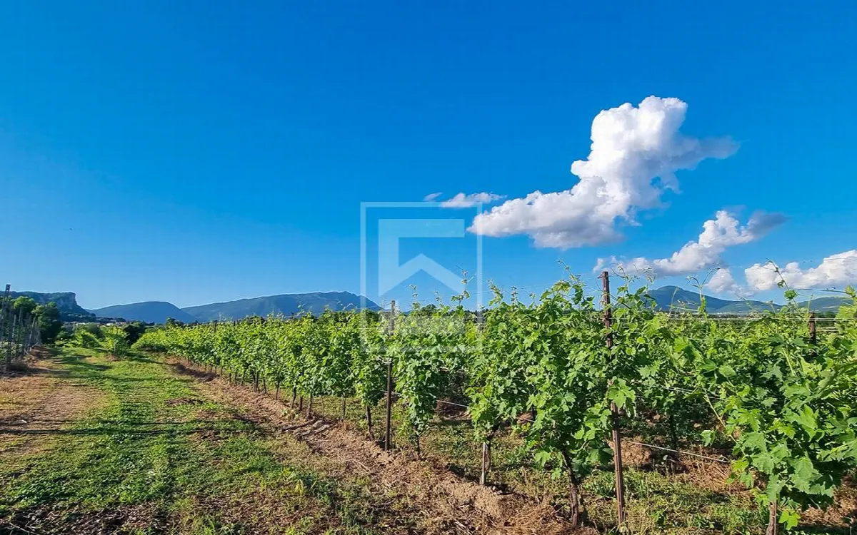 Rustico/Casale in vendita a Cavaion Veronese - foto 2