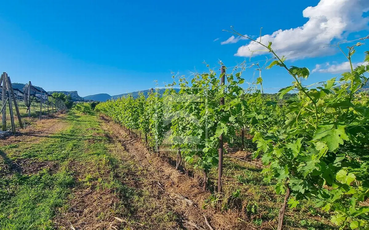 Rustico/Casale in vendita a Cavaion Veronese - foto 4