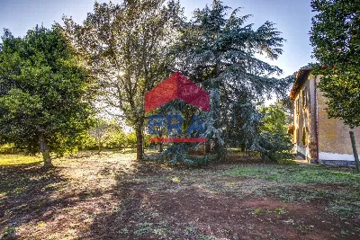 Rustico/Casale in vendita a Pomezia - foto 7