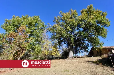 Villa in vendita a Matelica - foto 5