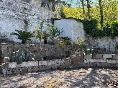 Villa in vendita a Corbara - foto 2