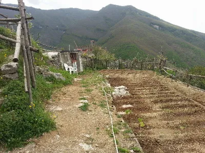 Villa in vendita a Corbara - foto 8
