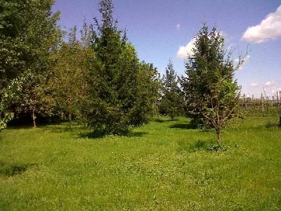 Rustico/Casale in vendita a Lugo - foto 3