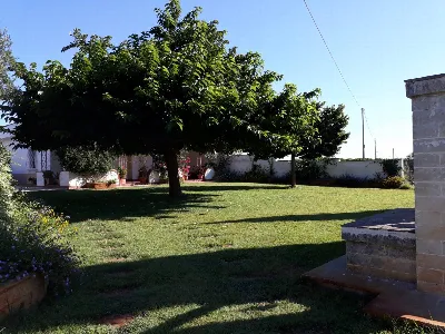 Villa in vendita a Castellaneta - foto 4