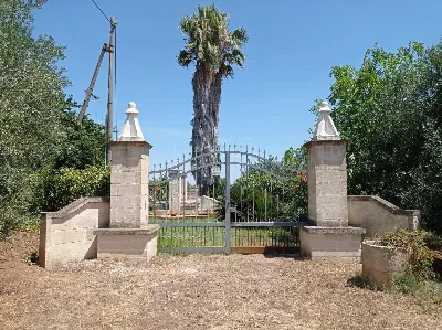 Villa in vendita a Castellaneta - foto 5
