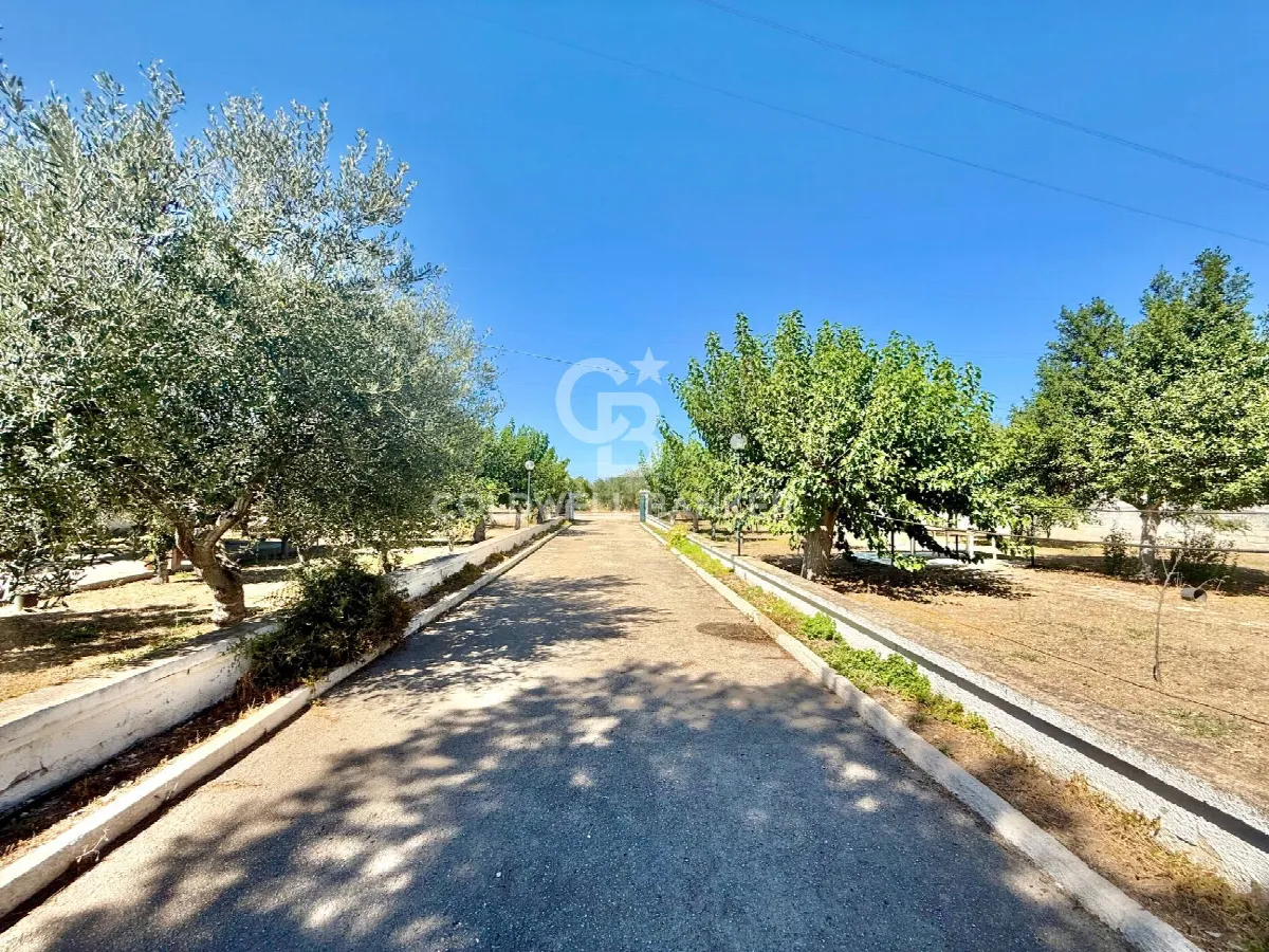 Rustico/Casale in vendita a Trani - foto 4