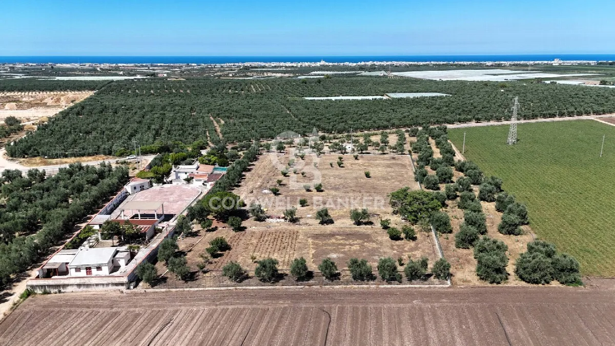 Rustico/Casale in vendita a Trani - foto 5