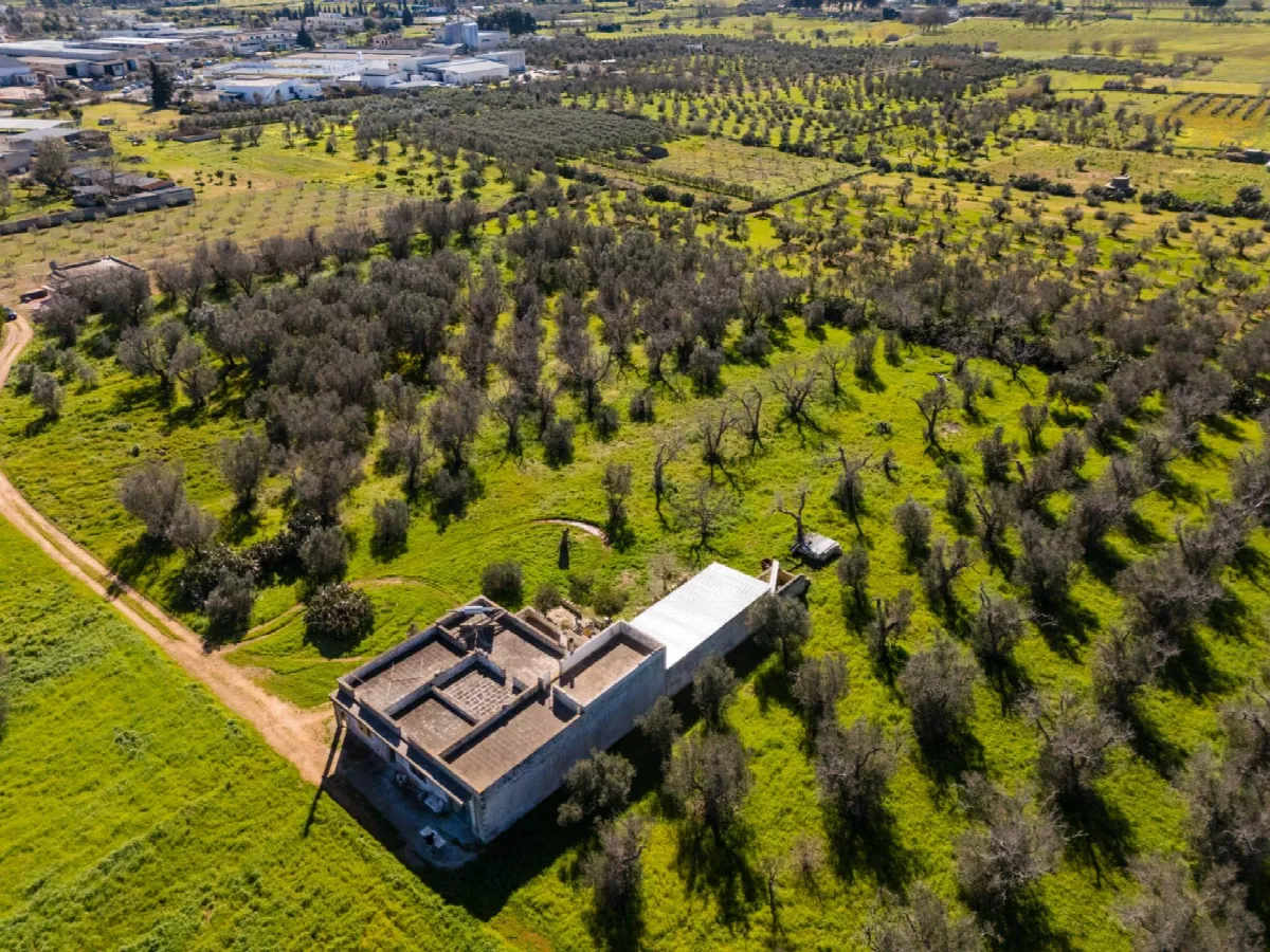 Villa in vendita a Specchia - foto 4