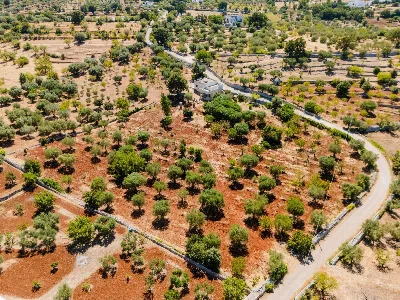 Villa in vendita a Monopoli - foto 5