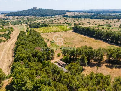 Rustico/Casale in vendita a Andria - foto 1