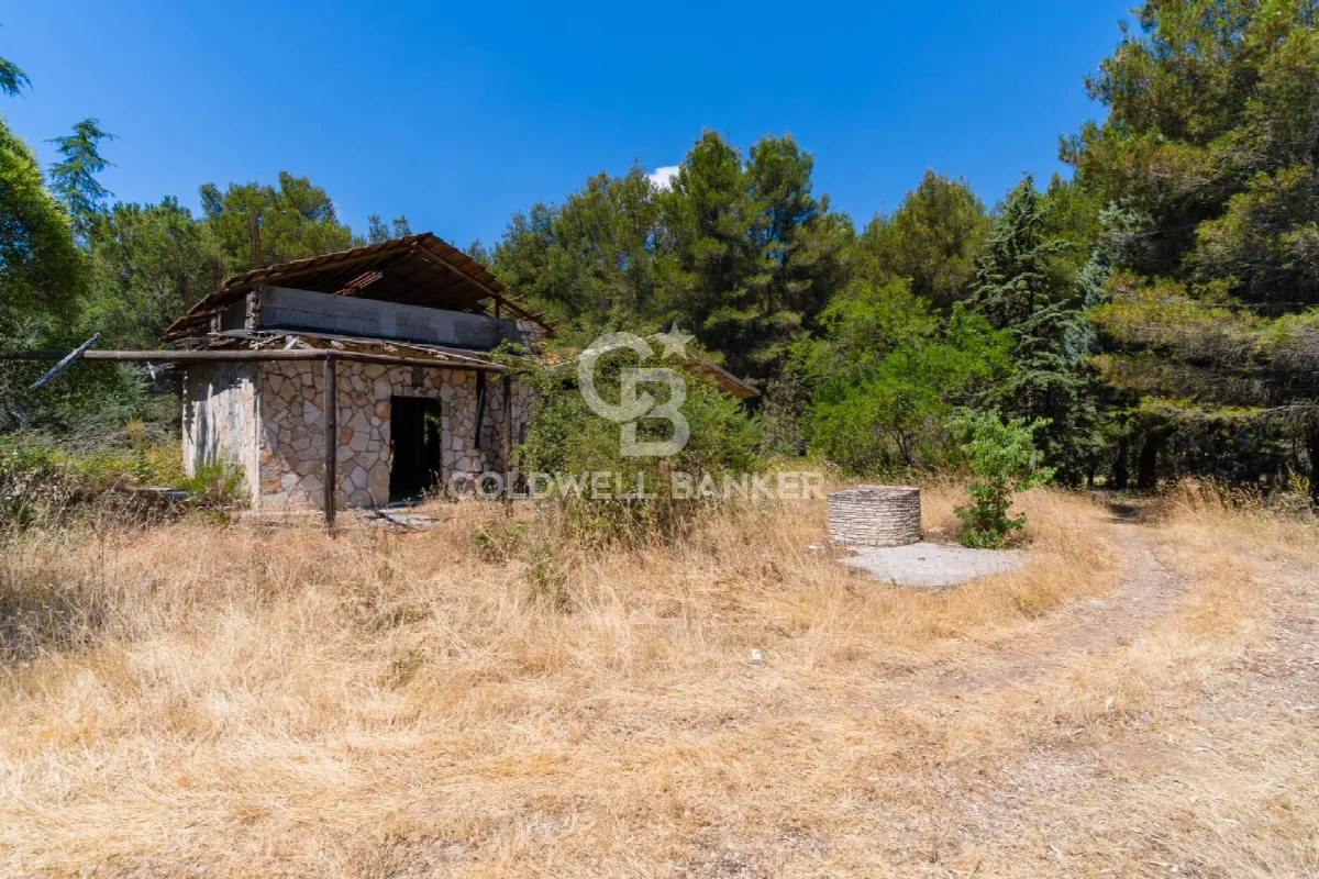 Rustico/Casale in vendita ad Andria - foto 2