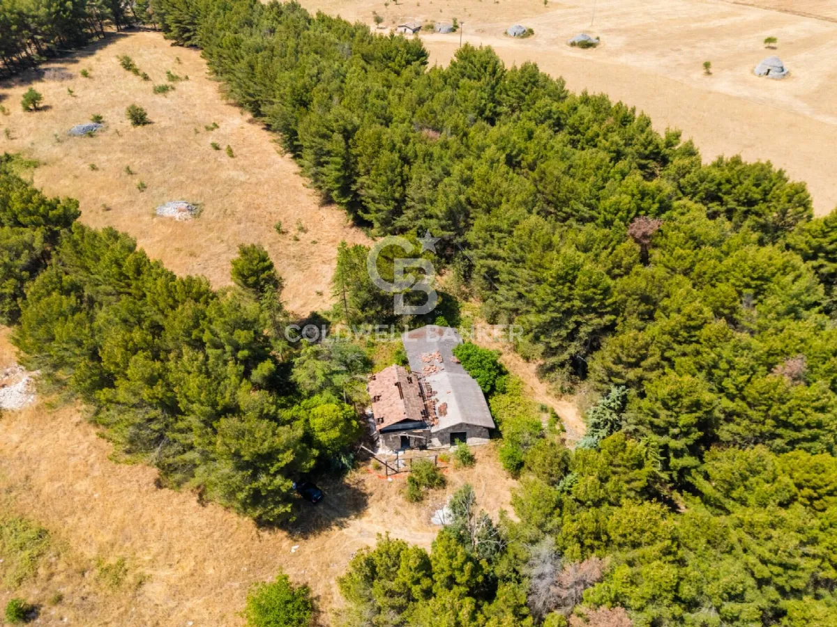 Rustico/Casale in vendita ad Andria - foto 3