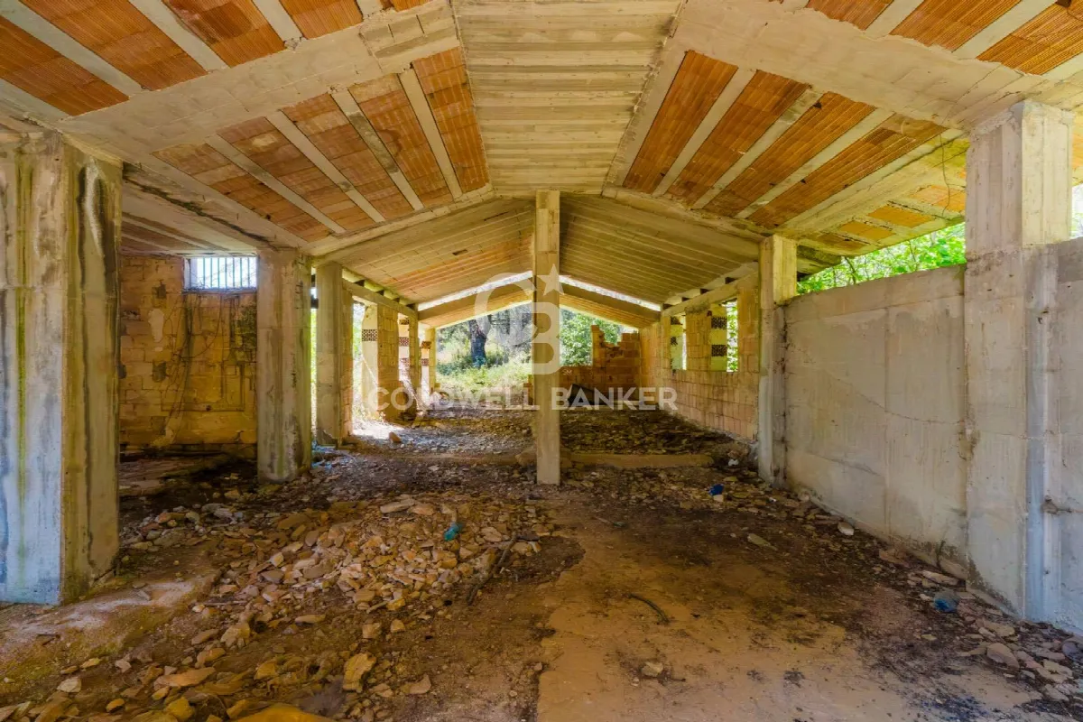 Rustico/Casale in vendita ad Andria - foto 4