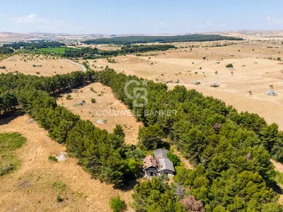 Rustico/Casale in vendita a Andria - foto 7