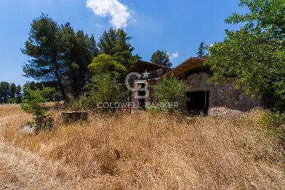 Rustico/Casale in vendita a Andria - foto 9