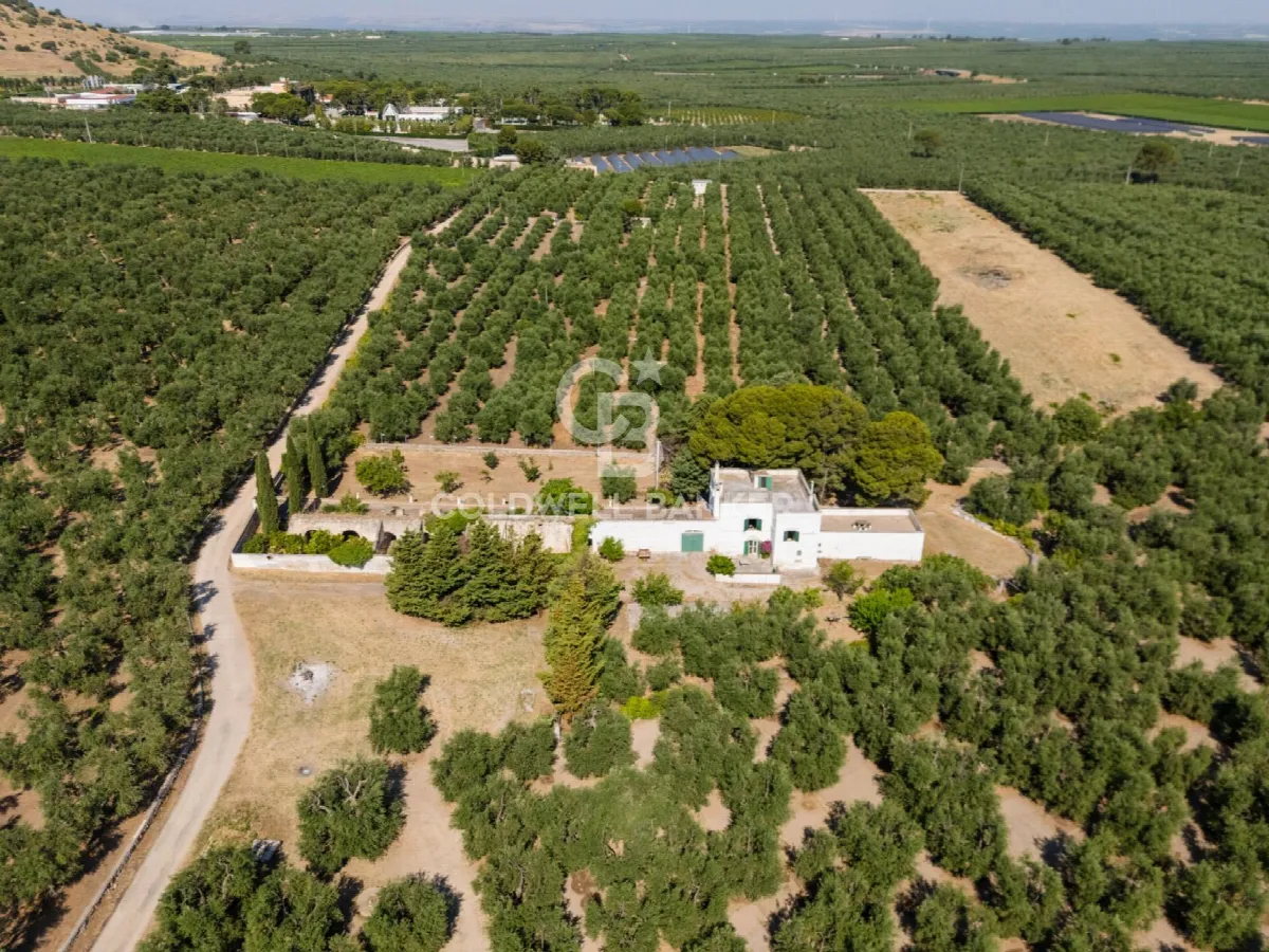 Rustico/Casale in vendita ad Andria - foto 3