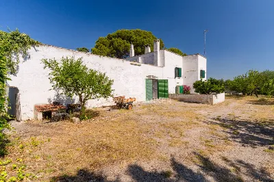 Rustico/Casale in vendita a Andria - foto 4