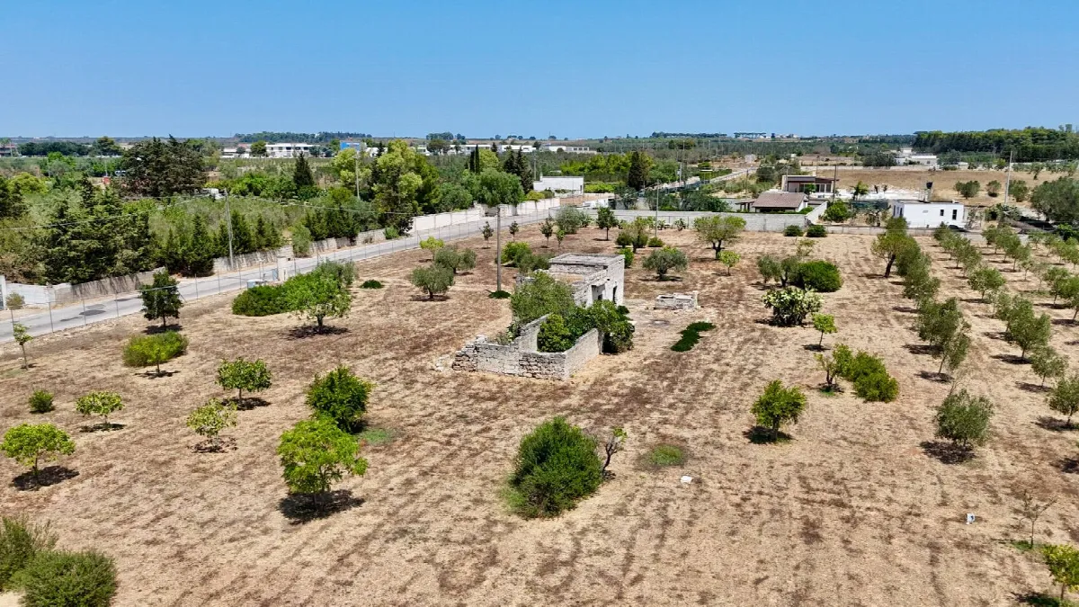 Rustico/Casale in vendita a Novoli - foto 3