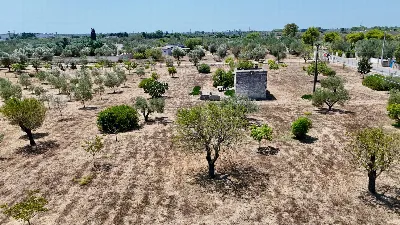 Rustico/Casale in vendita a Novoli - foto 6