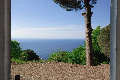 Rustico/Casale in vendita a Zoagli - foto 9