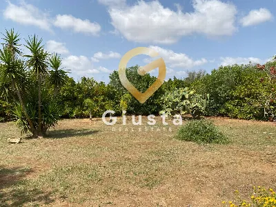 Villa in vendita a Brindisi, Sant'elia, la... - foto 8