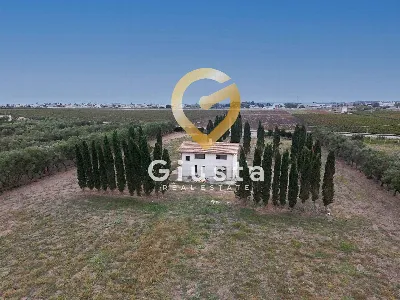 Villa in vendita a San Pancrazio Salentino - foto 2