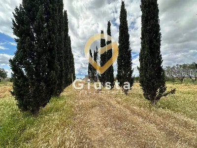 Villa in vendita a San Pancrazio Salentino - foto 9