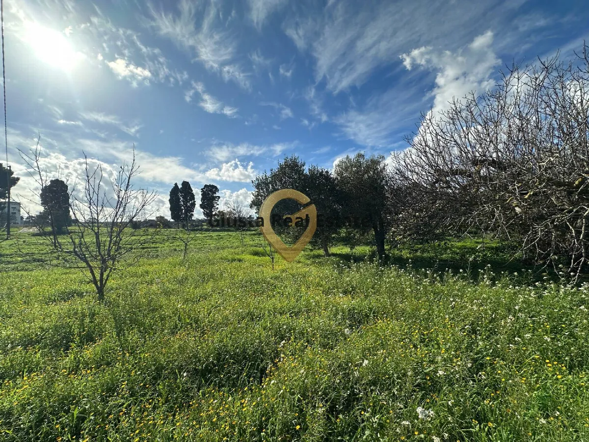Rustico/Casale in vendita a Brindisi, Mitrano, Litoranea, Montenegro - foto 2