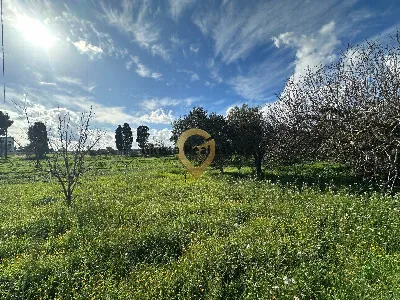 Rustico/Casale in vendita a Brindisi, Mitr... - foto 2