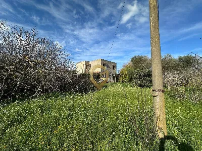 Rustico/Casale in vendita a Brindisi, Mitr... - foto 4
