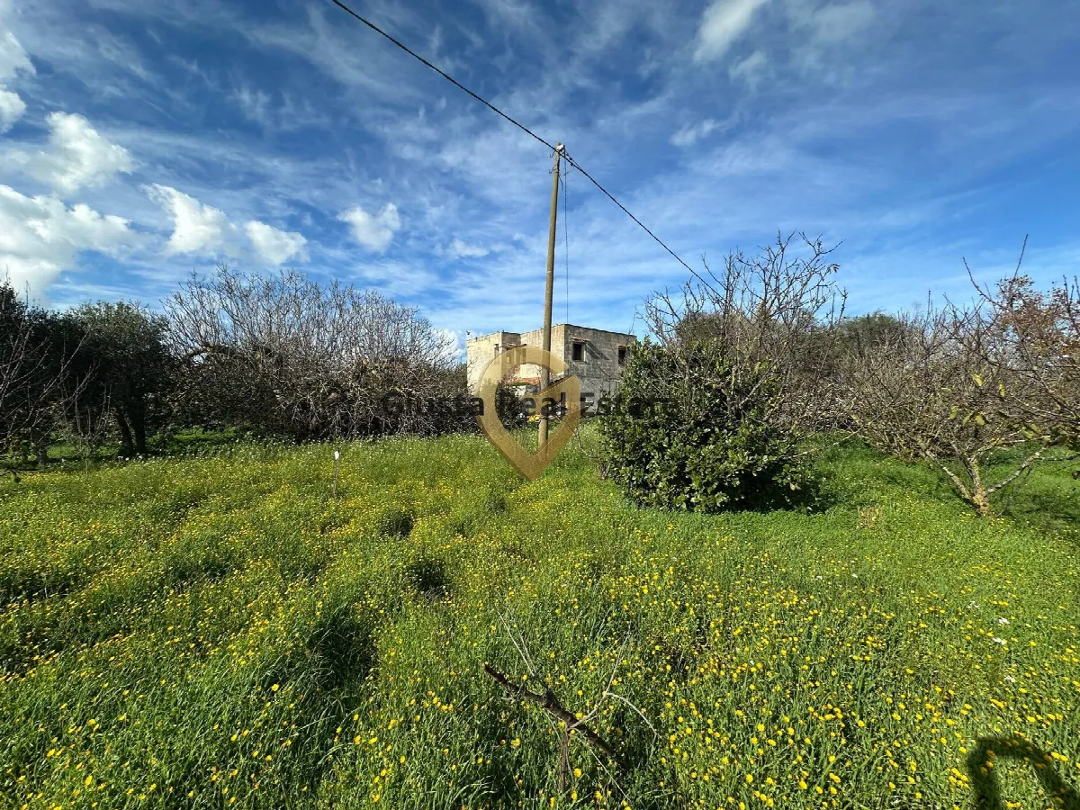 Rustico/Casale in vendita a Brindisi, Mitrano, Litoranea, Montenegro - foto 5