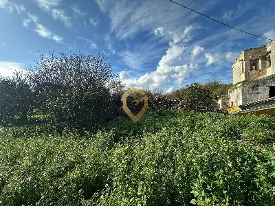 Rustico/Casale in vendita a Brindisi, Mitr... - foto 7
