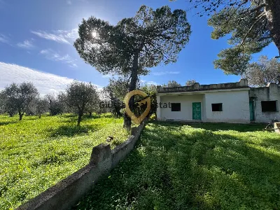 Villa in vendita a Mesagne - foto 2