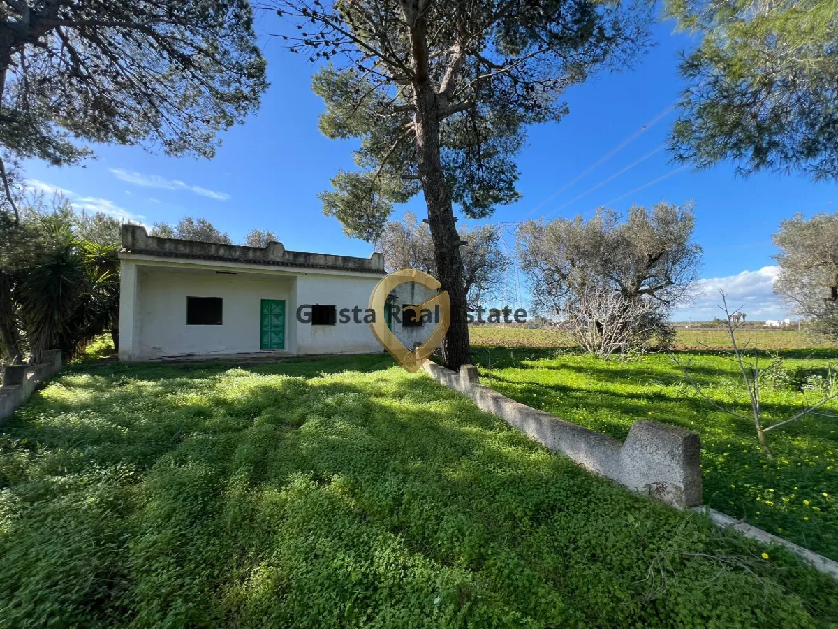 Villa in vendita a Mesagne - foto 3