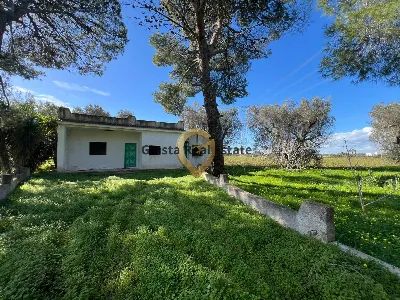 Villa in vendita a Mesagne - foto 3